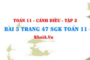 Bài 3 trang 47 Toán 11 tập 2 Cánh Diều